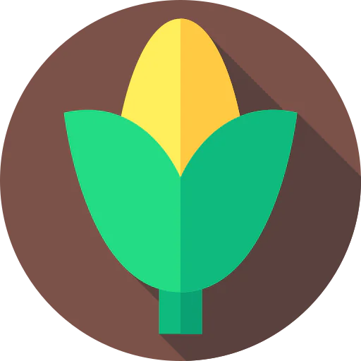 Corn icon