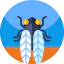 Cicada icon 64x64