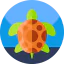 Turtle ícono 64x64
