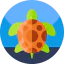 Turtle Symbol 64x64