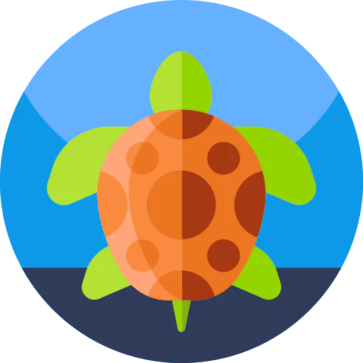 Turtle icon