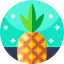 Pineapple Ikona 64x64