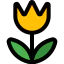 Macro Ikona 64x64
