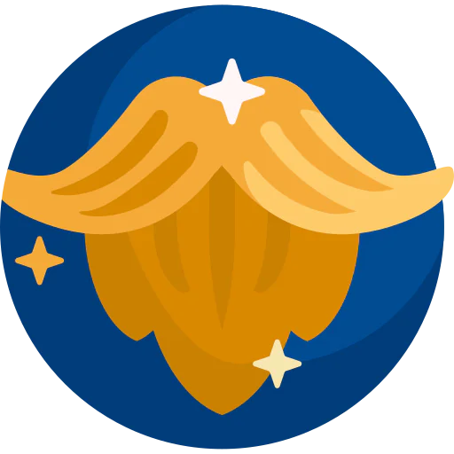 Beard icon