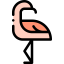 Flamingo іконка 64x64