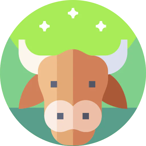 Buffalo icon