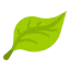 Leaf іконка 64x64