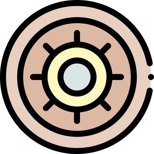 Shield icon