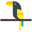 Parrot ícone 64x64
