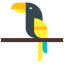 Parrot icône 64x64