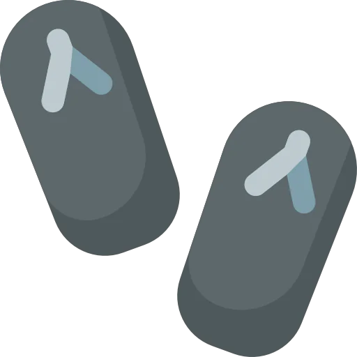 Flip flops icône