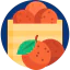 Oranges icon 64x64