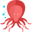 Octopus biểu tượng 64x64