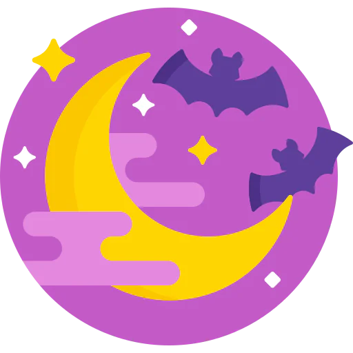 Moon icon