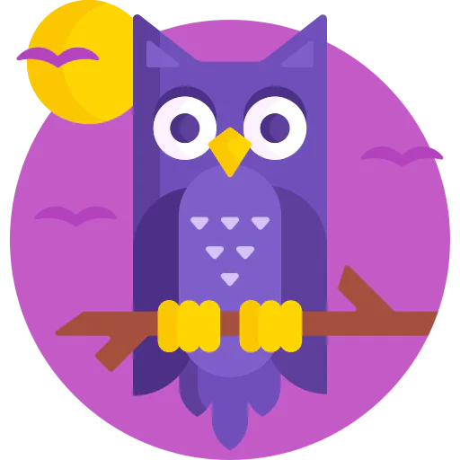 Owl icon