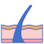 Epidermis icon 64x64