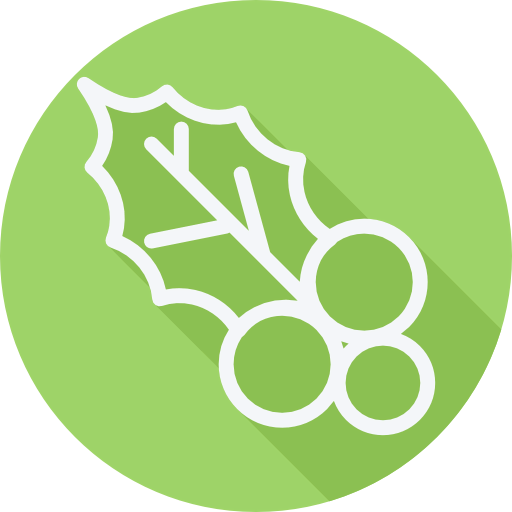 Mistletoe icon