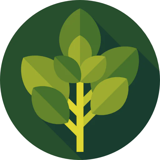 Basil icon