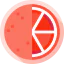 Grapefruit icon 64x64