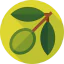 Olive icon 64x64