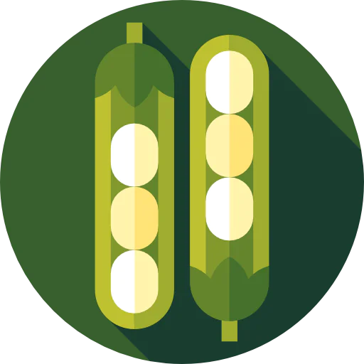 Beans icon