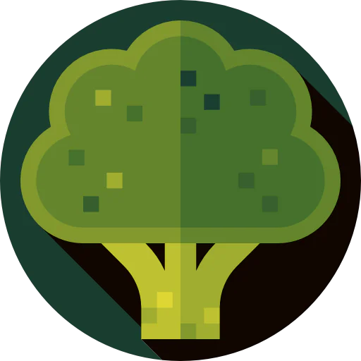 Broccoli icon