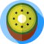 Kiwi icon 64x64