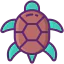 Turtle іконка 64x64