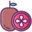 Passion fruit icône 64x64