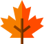 Maple leaf icon 64x64