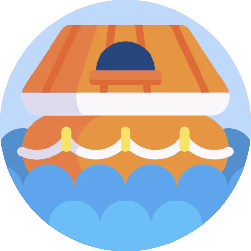 Capsule icon
