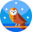 Owl icon 64x64