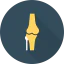Knee biểu tượng 64x64