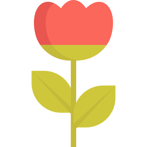 Tulip 상