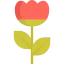 Tulip icon 64x64