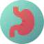 Stomach icon 64x64