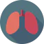 Lungs アイコン 64x64