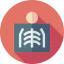 X ray アイコン 64x64