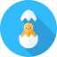 Курица иконка 64x64