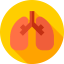 Lungs 图标 64x64