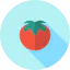 Tomatoes アイコン 64x64