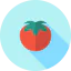 Tomatoes ícono 64x64