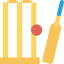 Cricket ícono 64x64