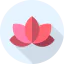 Lotus biểu tượng 64x64