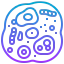 Cell 图标 64x64