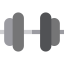 Dumbbell Ikona 64x64