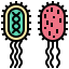 Bacterias icon 64x64