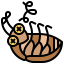 Cockroach icon 64x64
