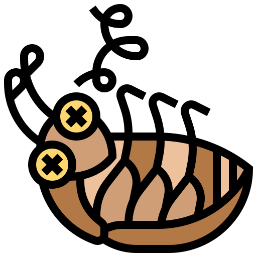 Cockroach icon