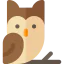 Owl biểu tượng 64x64